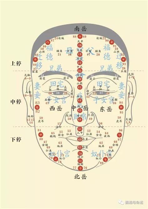 58歲面相|【面相流年圖】面相流年圖解析：由臉上看透你的命運。